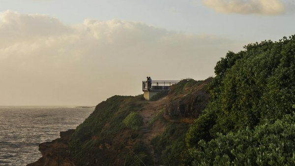 Quels sont les meilleurs spots pour observer les flamants roses en Camargue, France : périodes et lieux recommandés ?