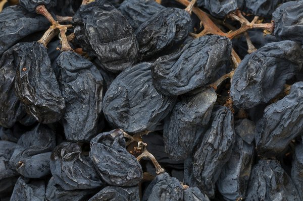 Comment découvrir les secrets des vendanges en Bourgogne sans guide?